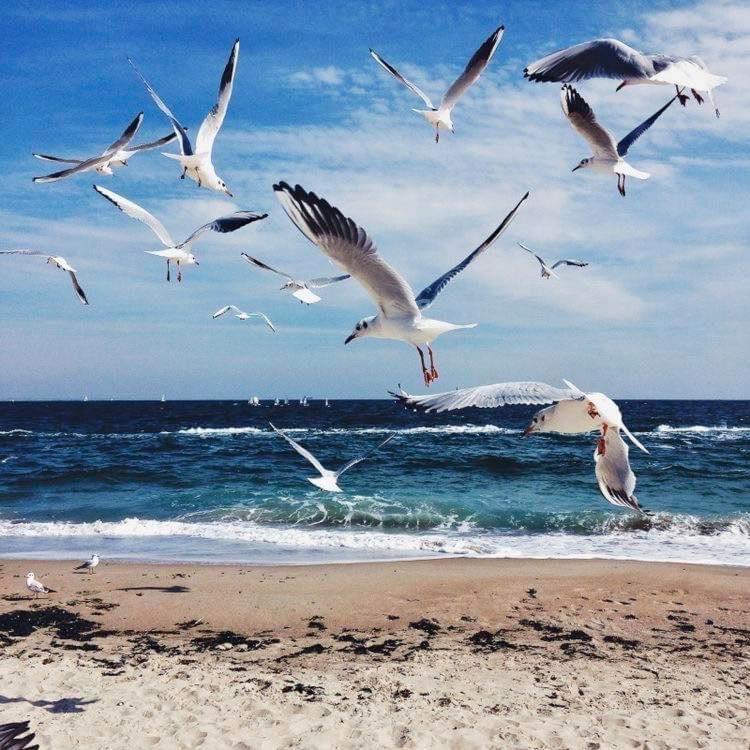 Wave 2 Mamaia Prima Linie Vedere La Mare 120Mp Năvodari Kültér fotó