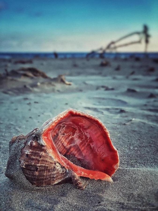 Wave 2 Mamaia Prima Linie Vedere La Mare 120Mp Năvodari Kültér fotó