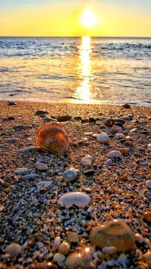 Wave 2 Mamaia Prima Linie Vedere La Mare 120Mp Năvodari Kültér fotó